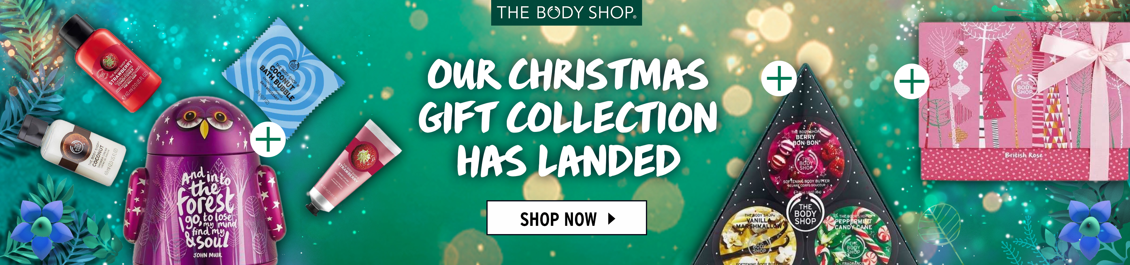 Moregasm+ desktop wireframe